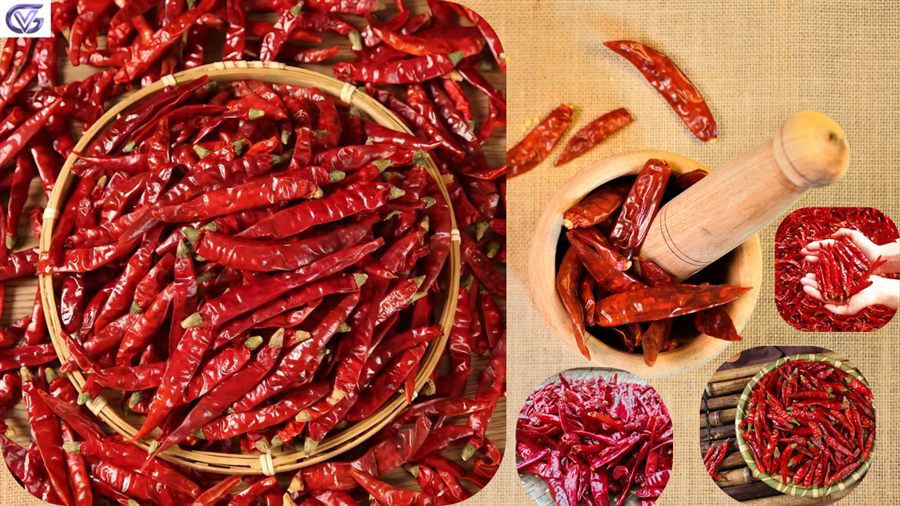 Dried Red Chilli
